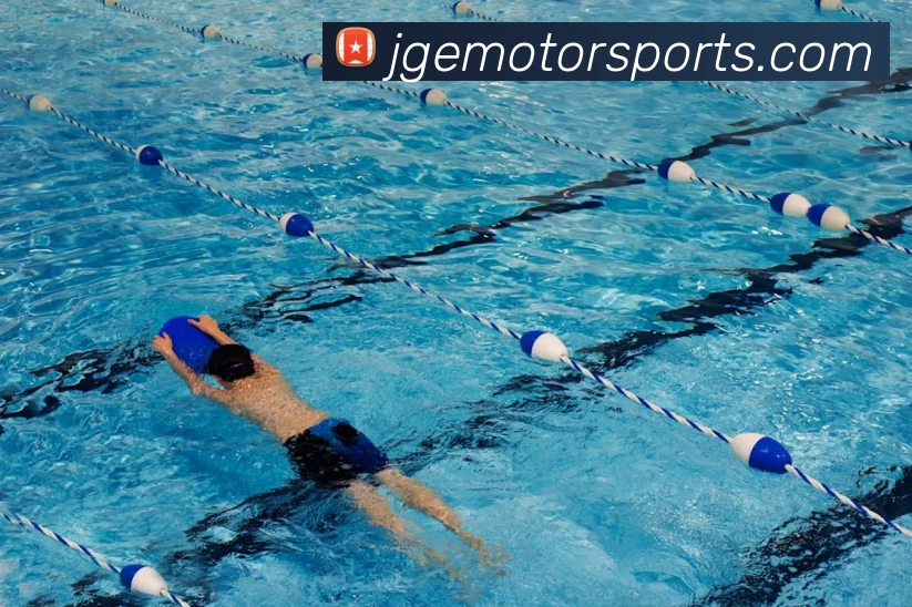 体育下注平台生态图